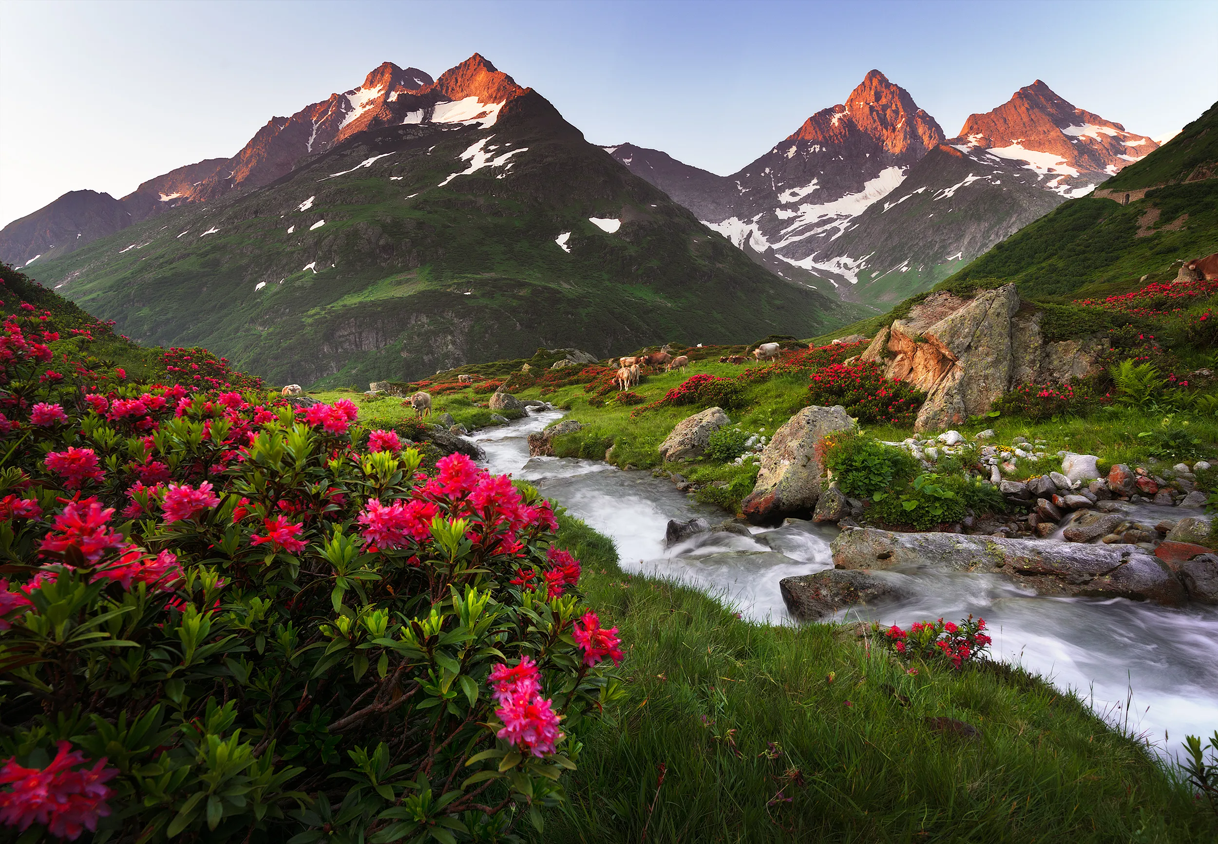 Landscape photo from the Instagram profile of Michael Holzinger
