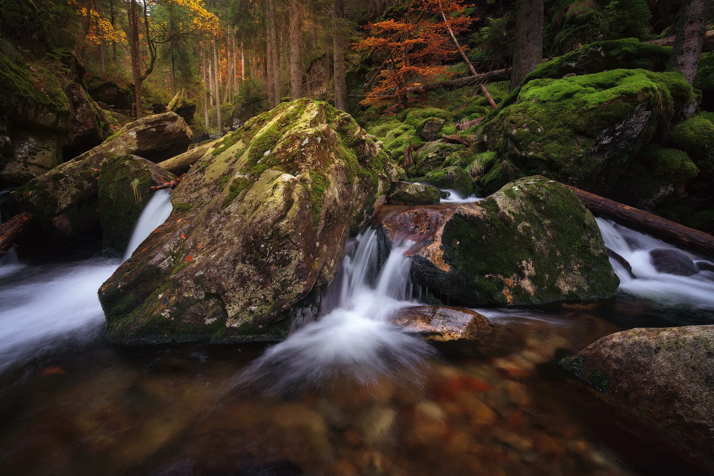 A forest stream over moss-covered stones, the first hints of autumn colour along the bank.