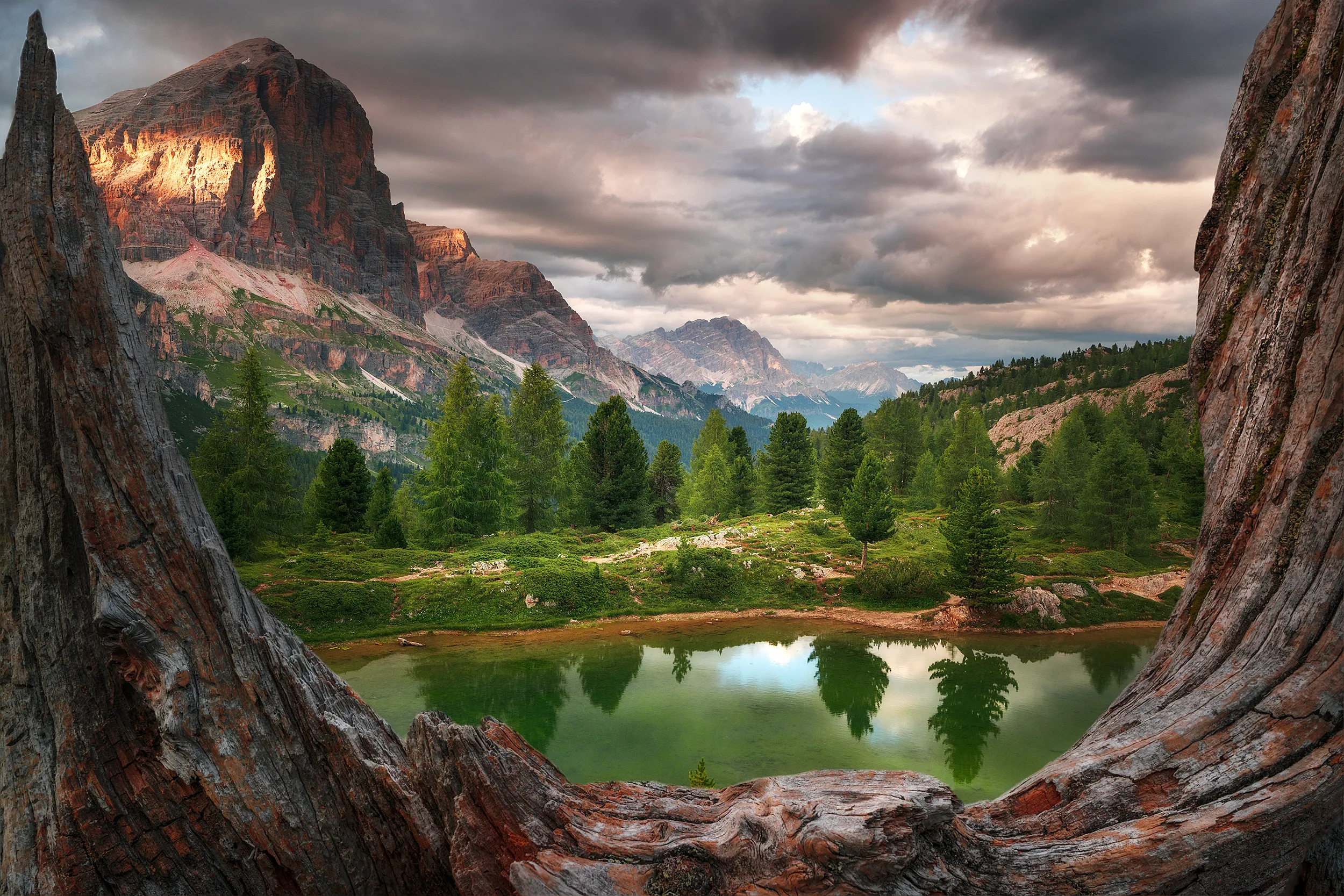 Mountain panorama framed by an old tree trunk in the foreground.