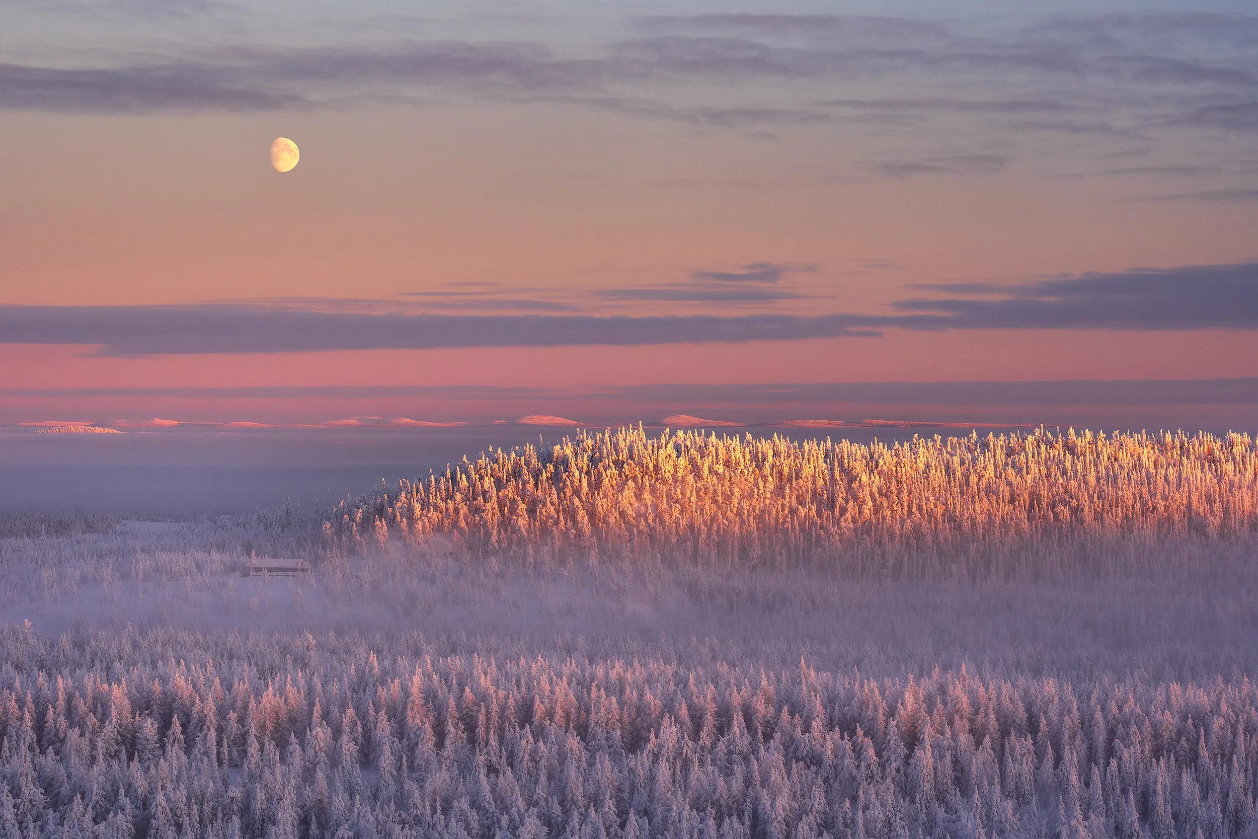 Snow-bound mountain forest under a violet sky, the waxing moon already visible.