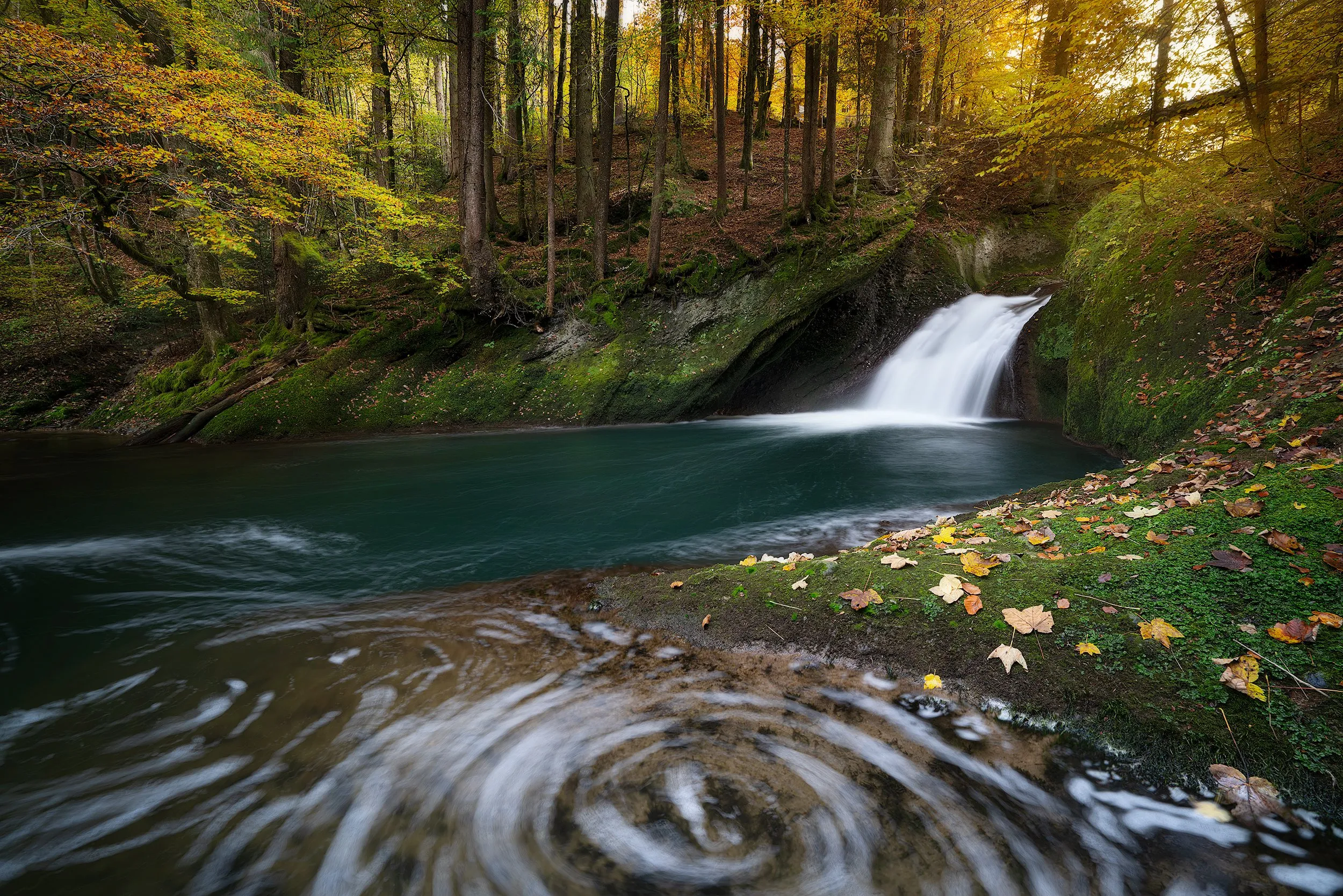 A still emerald forest pool, framed by autumn leaves and moss.