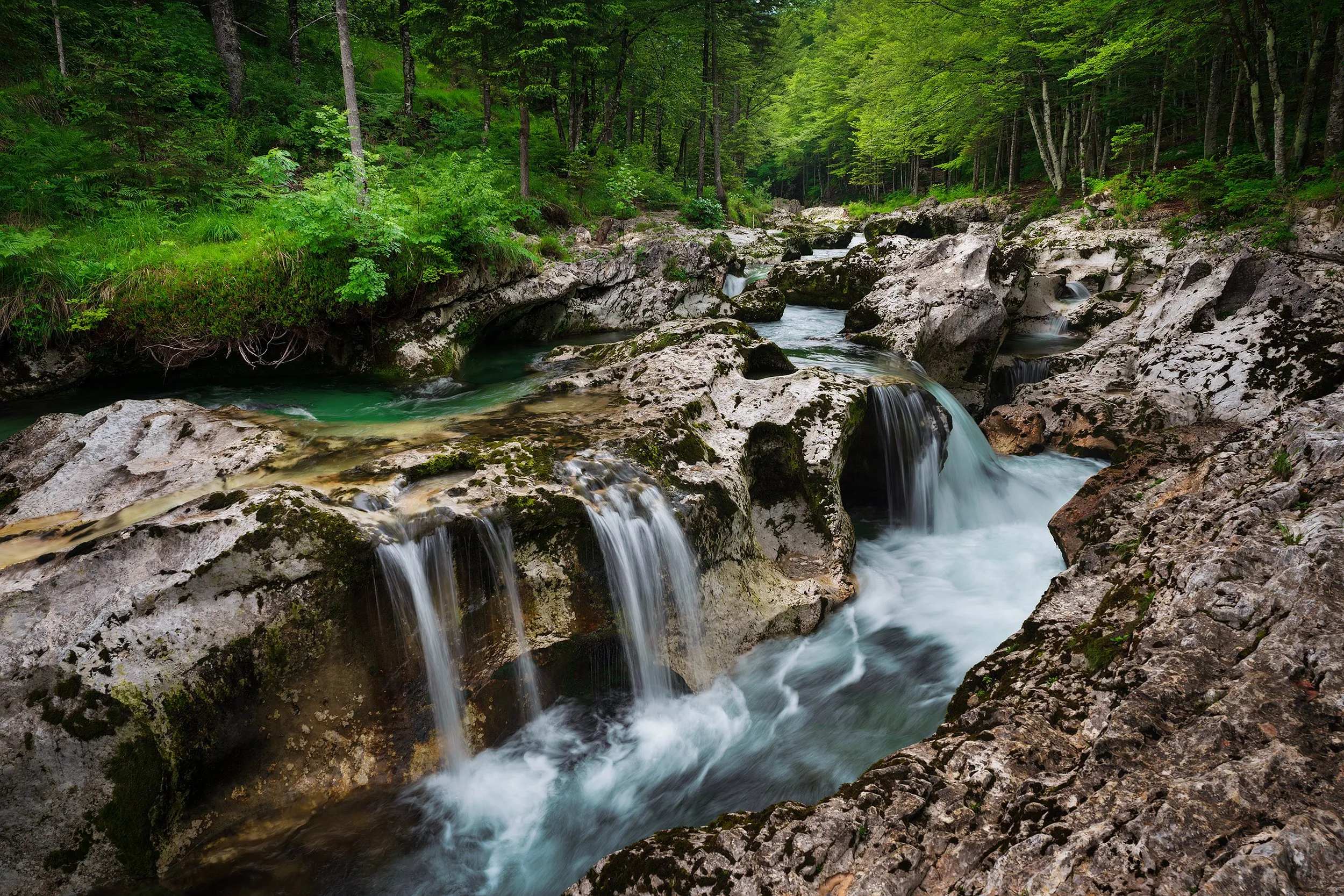 Cascades over pale limestone in a lush beech forest.