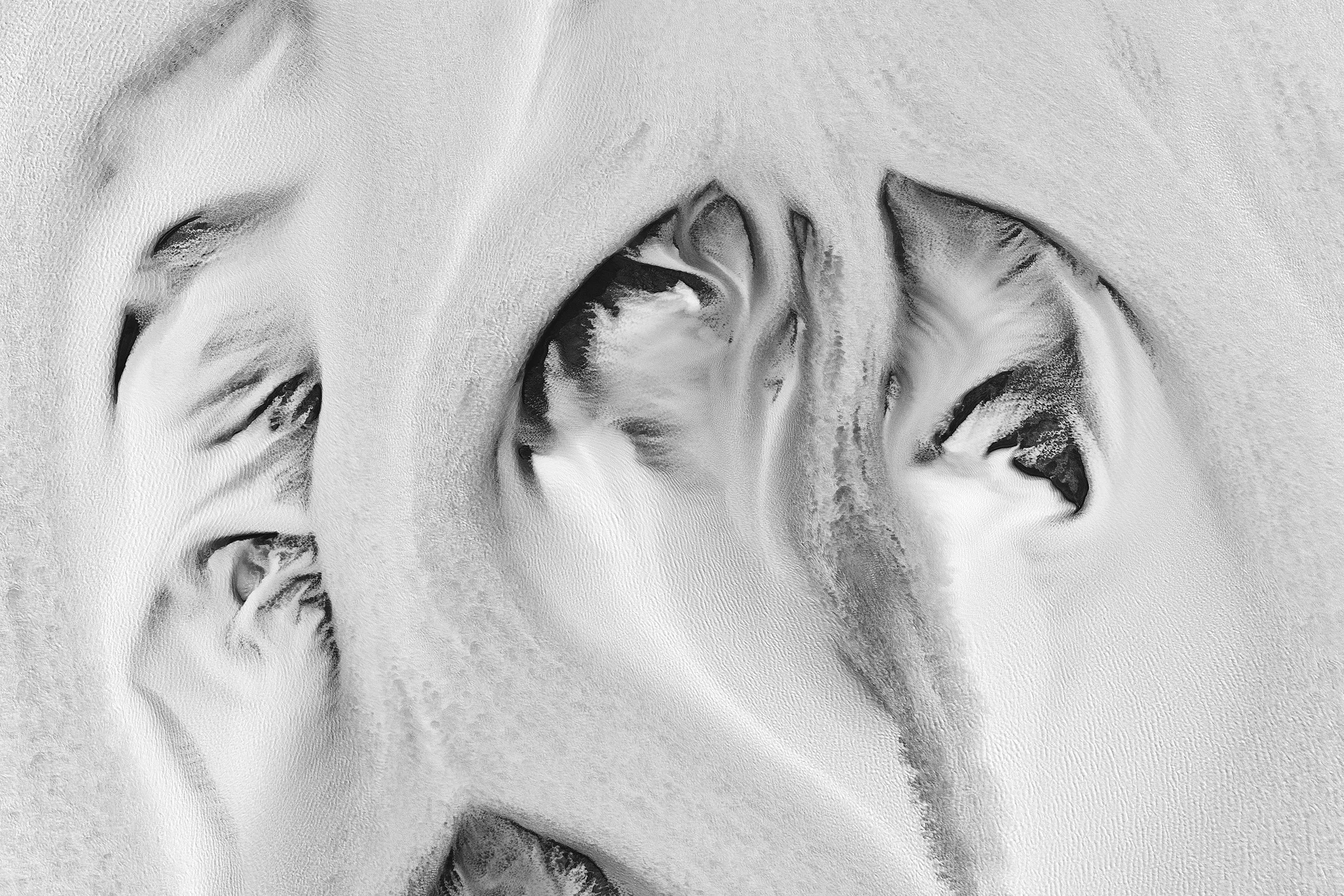 A portrait study, in monochrome.
