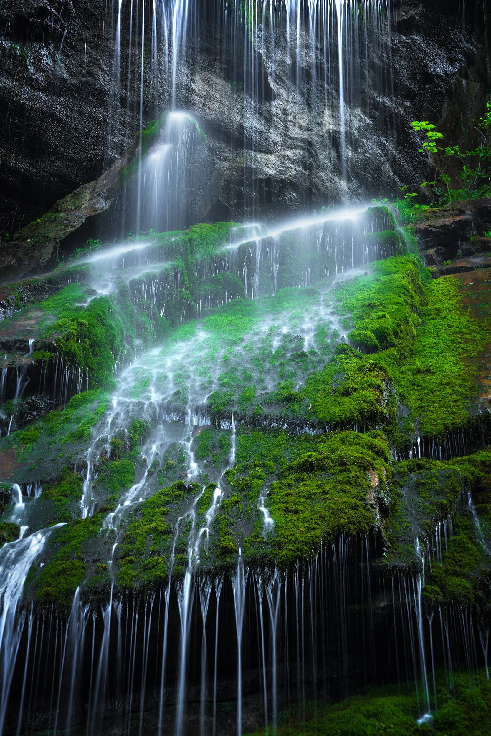 A waterfall between moss-covered rock and dense greenery.