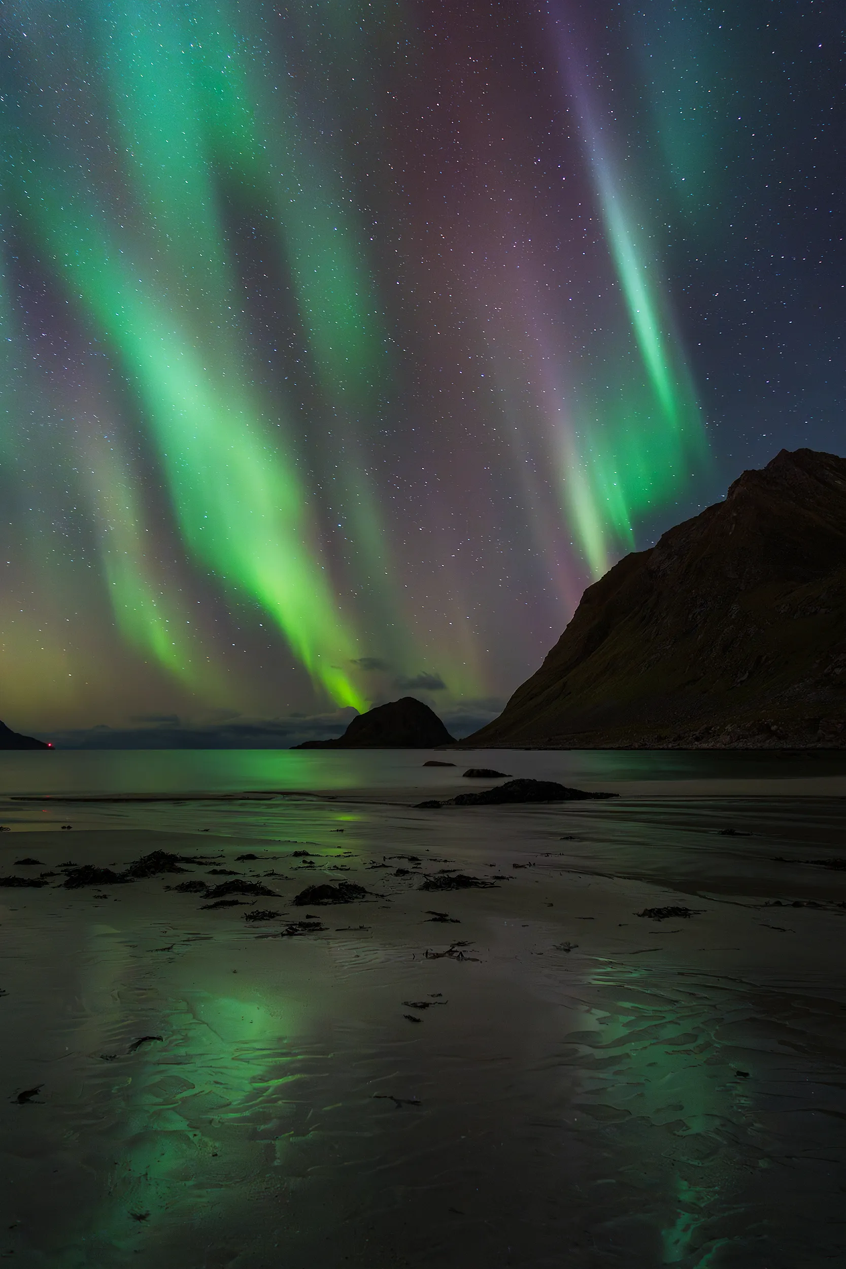 Northern lights over a beach with mountains in the background.