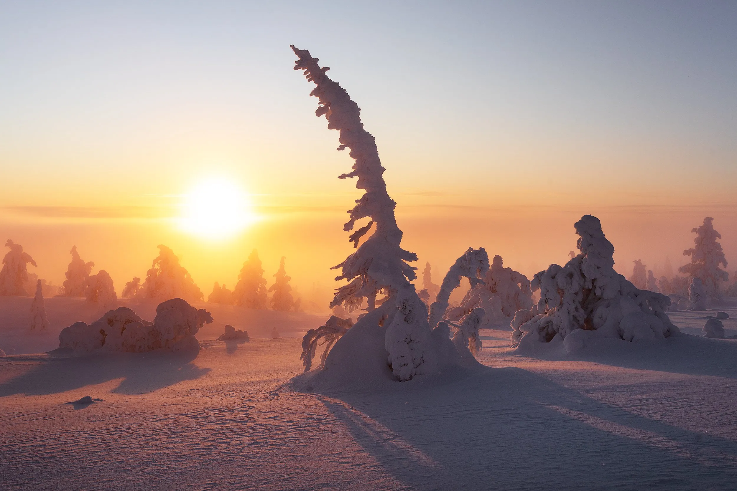 Tracks through fresh snow at sunrise.