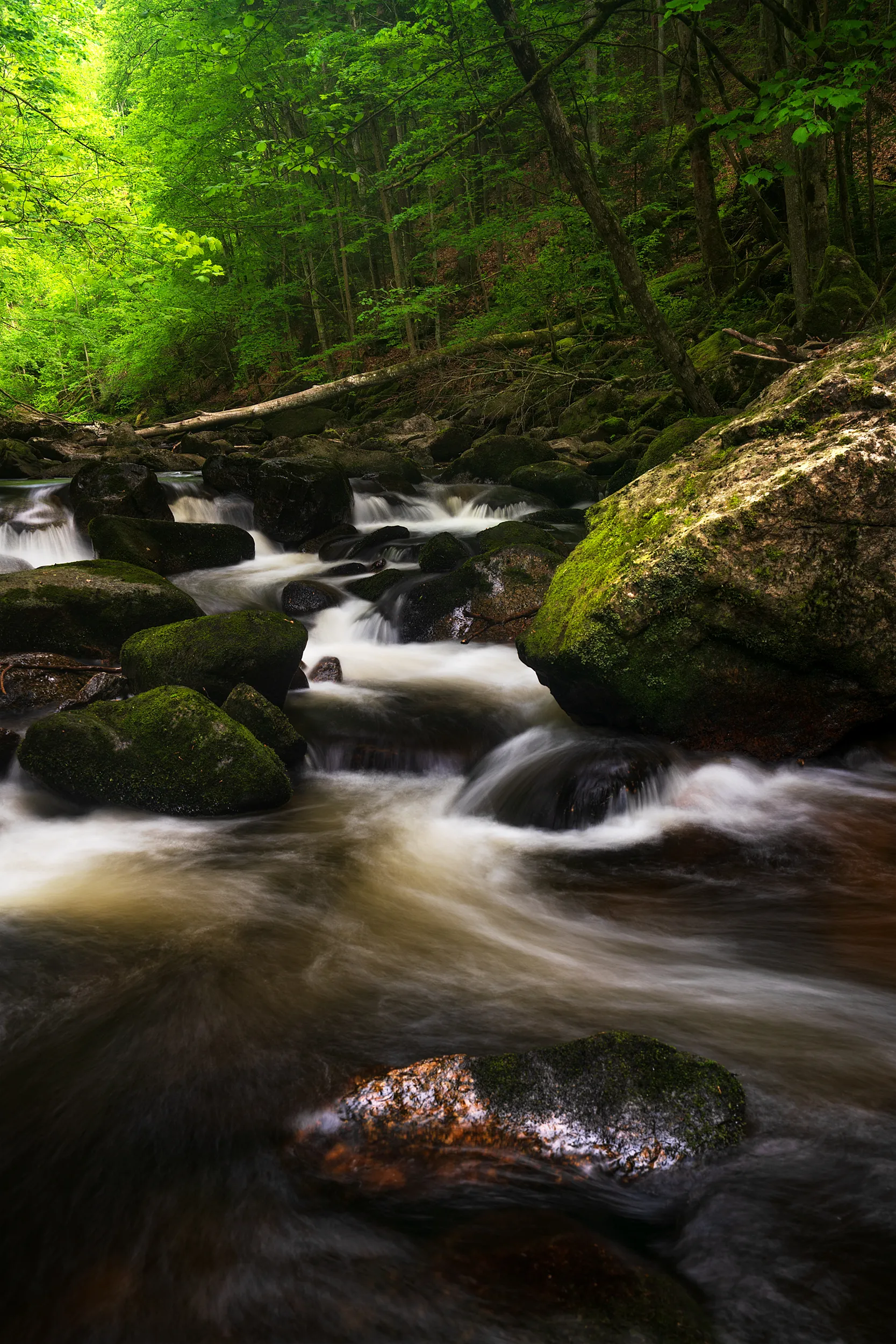 Landscape photo from the Instagram profile of Michael Holzinger