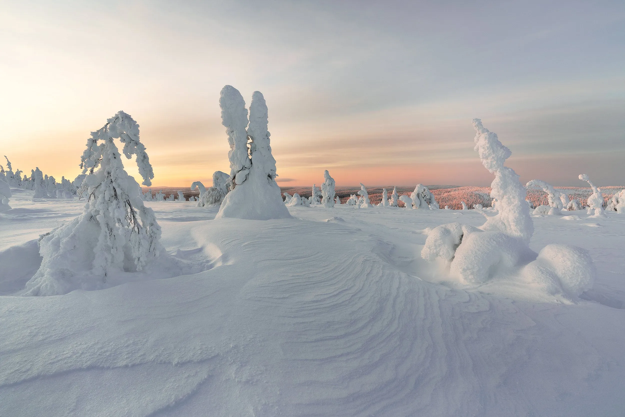 Winter landscape under a sky in dawn colour.