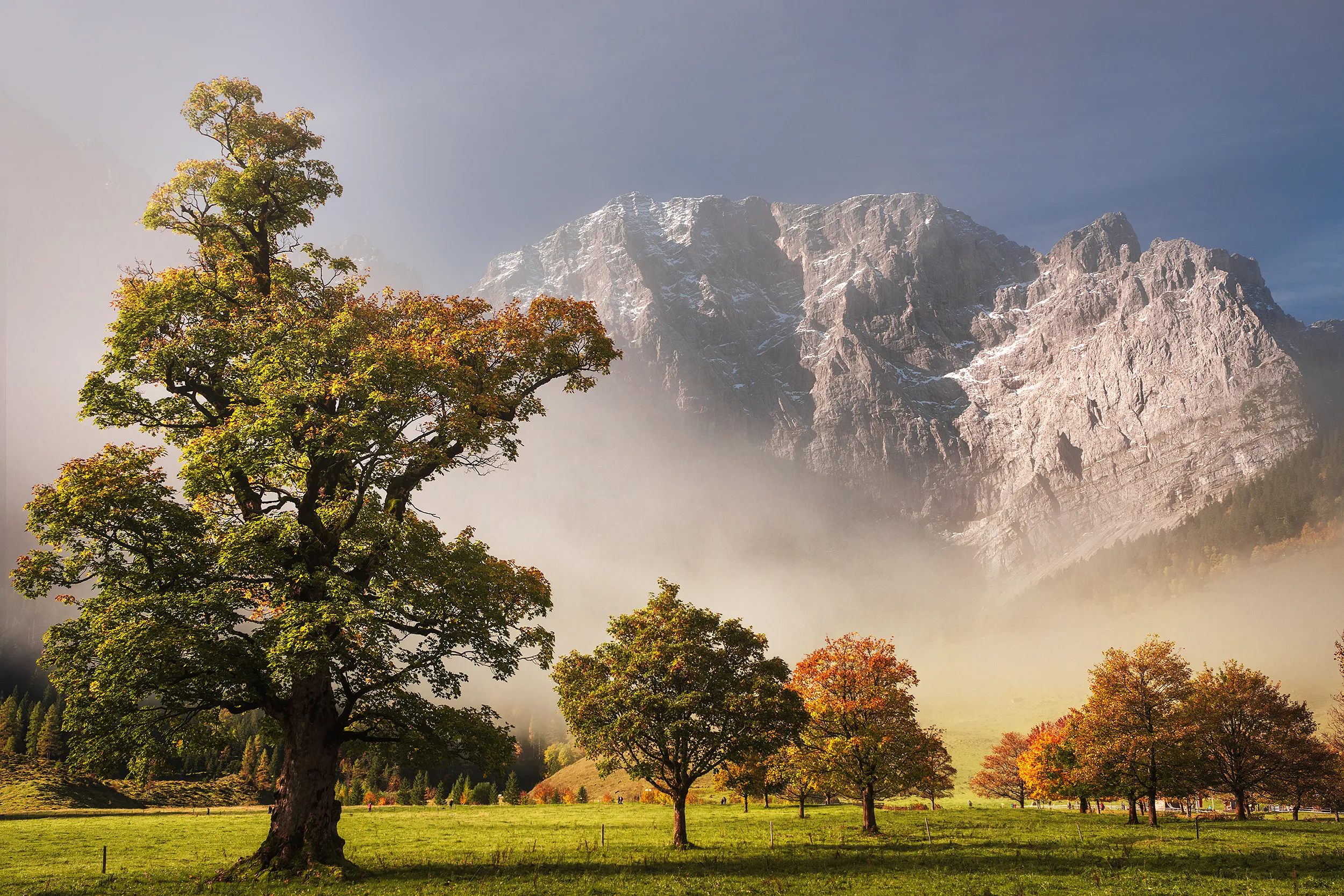 Autumn-colored trees in a green meadow, with snow-dusted peaks and mist behind them.
